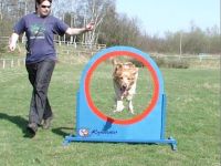 Hundeschule Kynocenter Münster