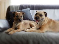 from the sunny Highlands