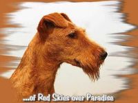 of Red Skies over Paradise