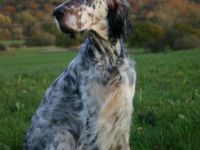 Inheritance of Grace