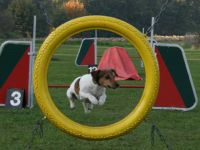 Doris Leopold, Hundeschule "hundeleo"