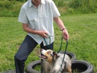 Beratung u. Training Mensch u. Hund