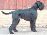 Von der Geistermühle