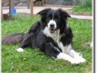 from Spirit of the Highland