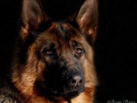 vom Beyenburger Stausee