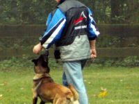 Hundeschule Gerhard Beetz