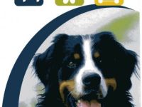 Dog Zentrum, die ganzheitliche Hundeschule