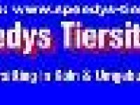 STS Speedys-Tiersitting