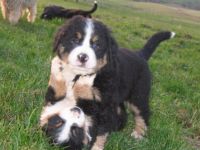 vom Schneppenbacher Hof