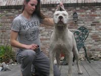 De La Orgullo Blanco