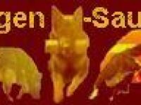 DVG KG Hagen-Sauerland