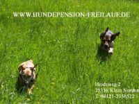 Hundepension FREILAUF