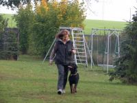 BG Rottis-and-friends