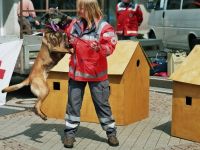 Hundeschule und Pension D. Roethig
