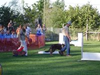 Hundetrainingscenter Hohndorf
