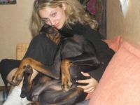 Das Hunde-Trainingscamp Rems-Murr-Kreis