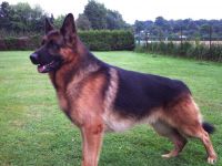 Tierpension Holzminden