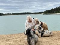 Setter by White Angel