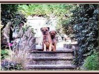 von der Border-Meute