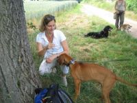 Hundeschule Mainz-Bingen