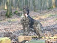 vom Airport Frankfurt