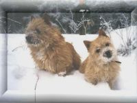 vom alten Marktsteig