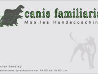 canis familiaris - Mobiles Hundecoaching
