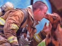 4 Pfoten Hundeschule, Welpenschule