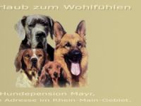 Hundepension Mayr
