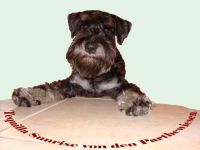 von den Parthewiesen