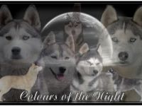 Colours of the Night