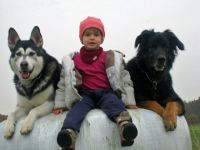 Mensch-Hund-Verhaltenstraining