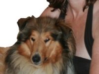 of Blackforest Paradise