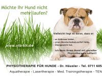 Physiotherapie für Hunde - Dr. Kirsten Häusler