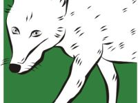 Hundeschule Fränkische Schweiz