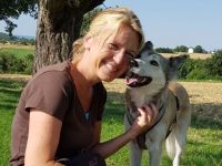 Schöne Aussichten für Hunde