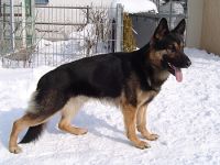 vom Reiterles Kapelle