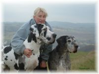 Rohrbacher Hundeschule