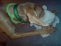 Campingplatz Furth im Wald