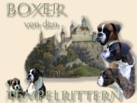 von den Tempelrittern