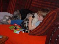 Hundeschule kyno-!ogisch