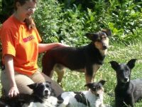 Tierservice Schürmann