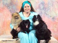 von der Arnold's Eiche