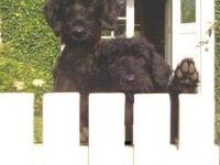 vom Haus von Blücher