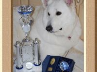 a From White Diamond