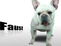 Faust from iron County