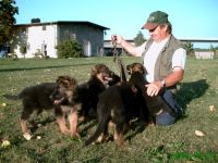 alten Hartsteinwerke