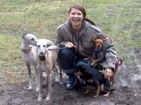 Billys-Hundebetreuung & Elbfit