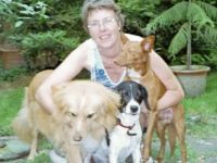 Hundebetreuung im Essener Süden