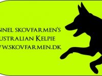 Skovfarmen´s